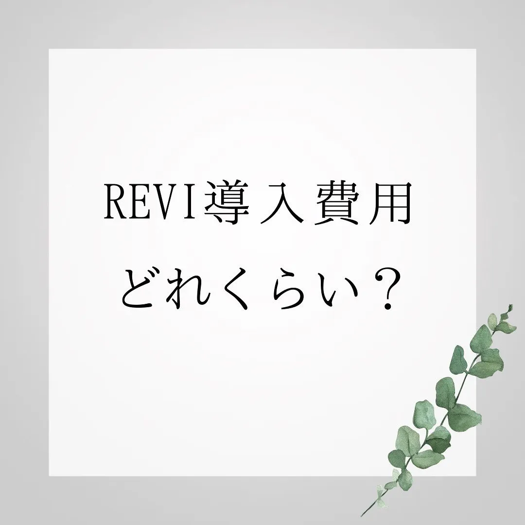 【最新】ルヴィの導入費用は〇〇円！？導入費用を解説します！（...